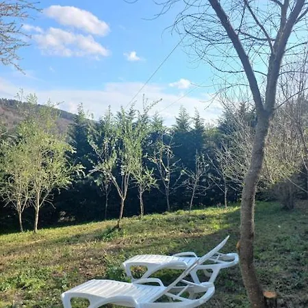 Casa de Férias Lar Louseiras *